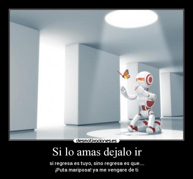 Si lo amas dejalo ir - si regresa es tuyo, sino regresa es que....
¡Puta mariposa! ya me vengare de ti