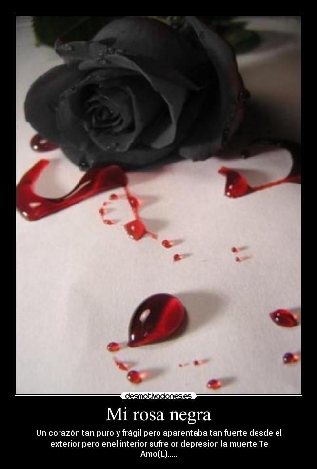 Mi rosa negra - Un corazón tan puro y frágil pero aparentaba tan fuerte desde el
exterior pero enel interior sufre or depresion la muerte.Te
Amo(L).....