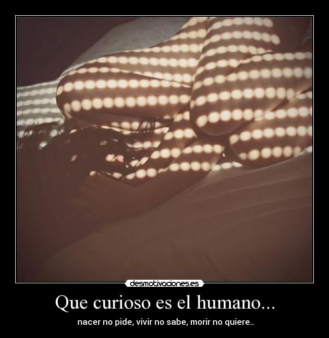 Que curioso es el humano... -