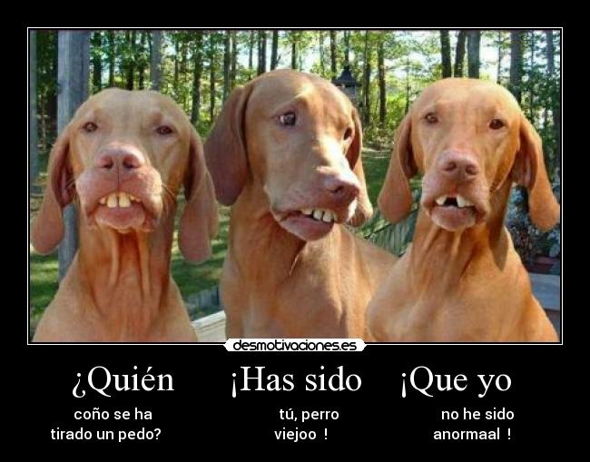 ¿Quién      ¡Has sido    ¡Que yo  - 