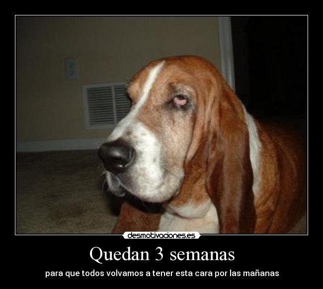 Quedan 3 semanas - 