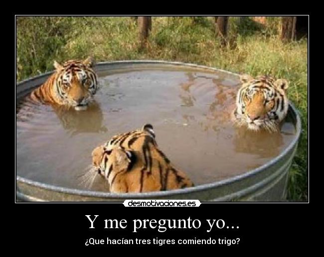Y me pregunto yo... -