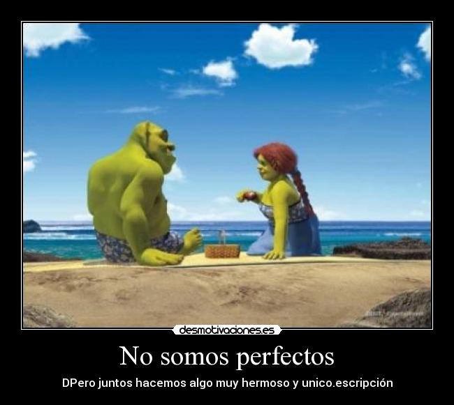 No somos perfectos - 