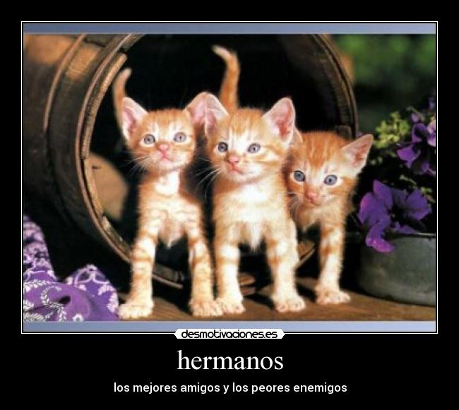 hermanos - 