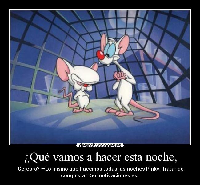 ¿Qué vamos a hacer esta noche, -  Cerebro? —Lo mismo que hacemos todas las noches Pinky, Tratar de
conquistar Desmotivaciones.es..