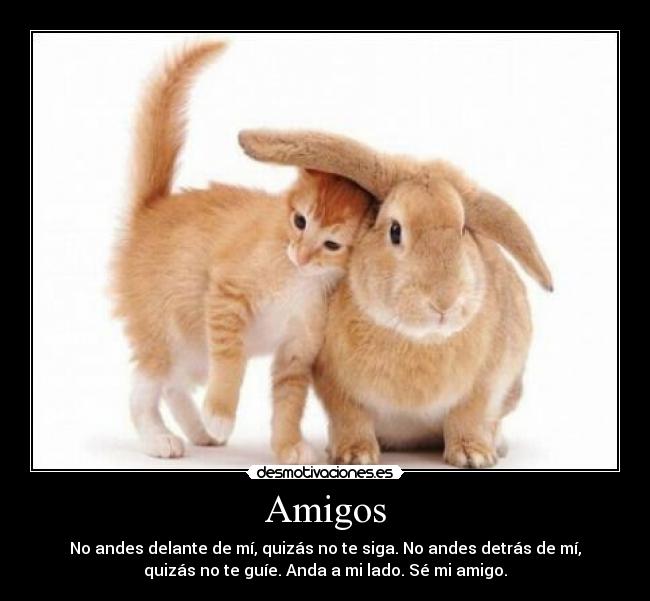 Amigos - No andes delante de mí, quizás no te siga. No andes detrás de mí,
quizás no te guíe. Anda a mi lado. Sé mi amigo.