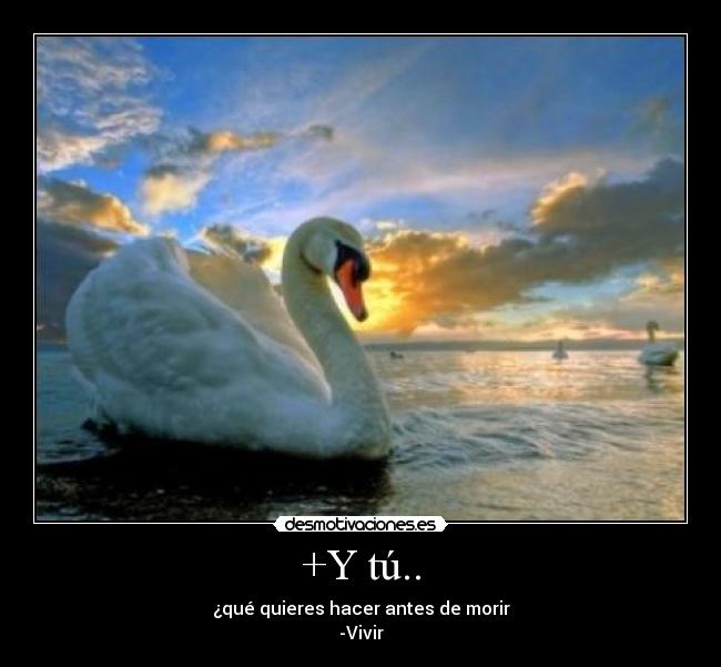 +Y tú.. - ¿qué quieres hacer antes de morir
-Vivir