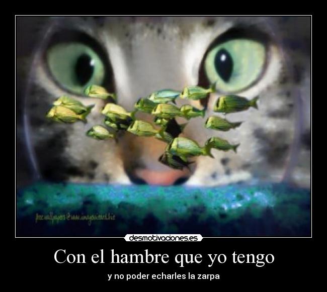 carteles 4t5 desmotivaciones