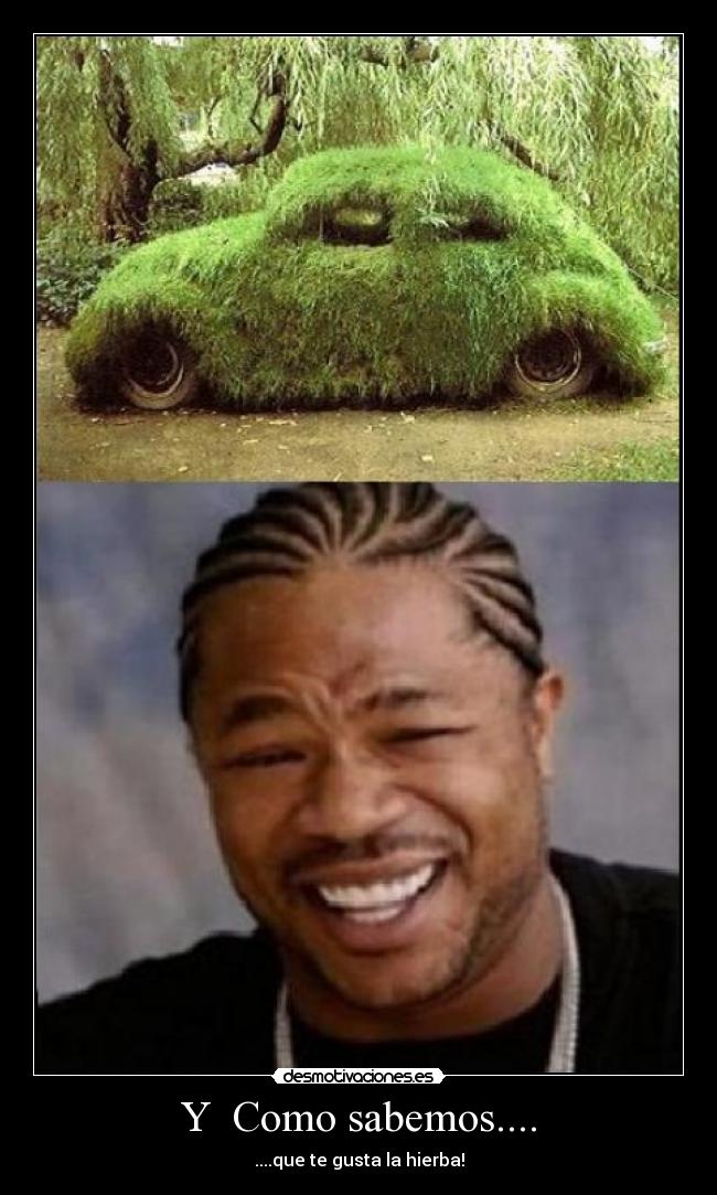 Y Como sabemos.... - ....que te gusta la hierba!