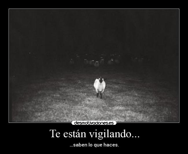 Te están vigilando... - ...saben lo que haces.