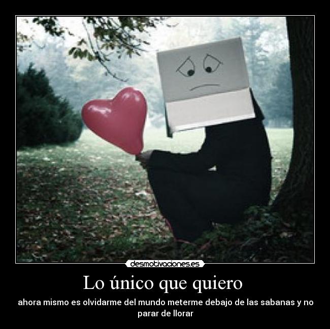 carteles llorar desmotivaciones