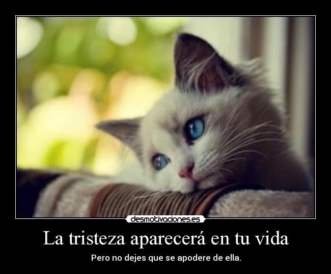La tristeza aparecerá en tu vida - 