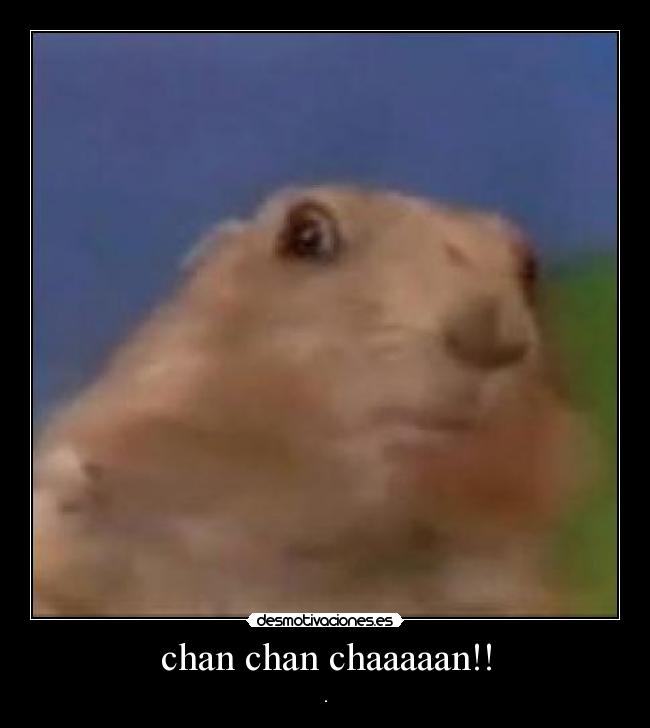 carteles chan chan chaaaaaan desmotivaciones