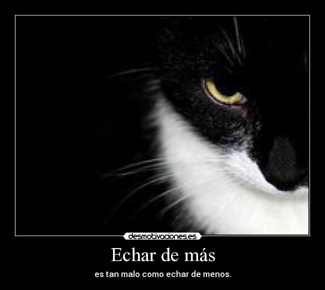 Echar de más - 