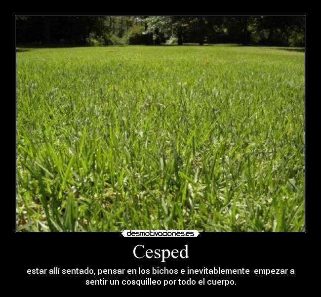 Cesped -