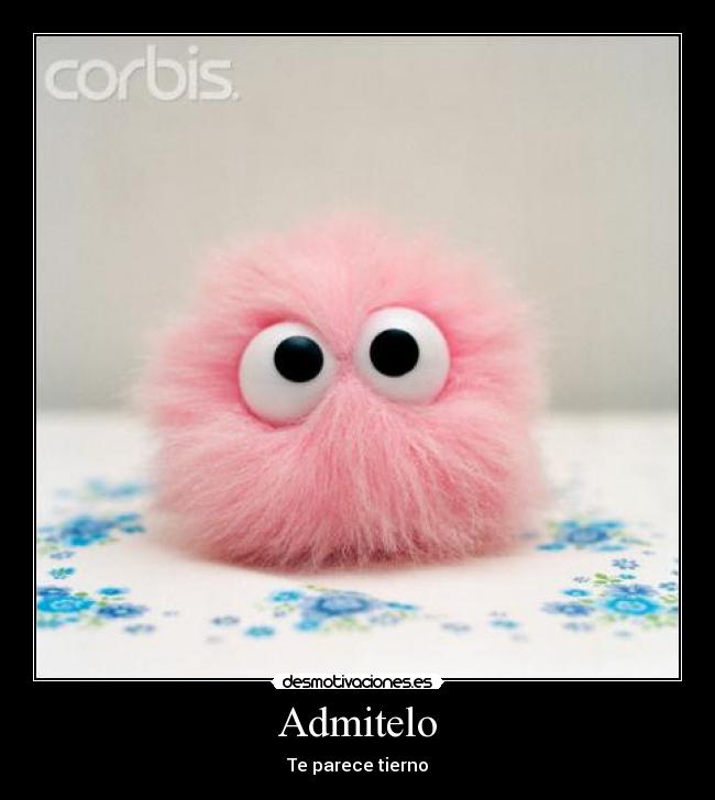 Admitelo - Te parece tierno