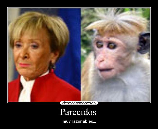 Parecidos - muy razonables...
