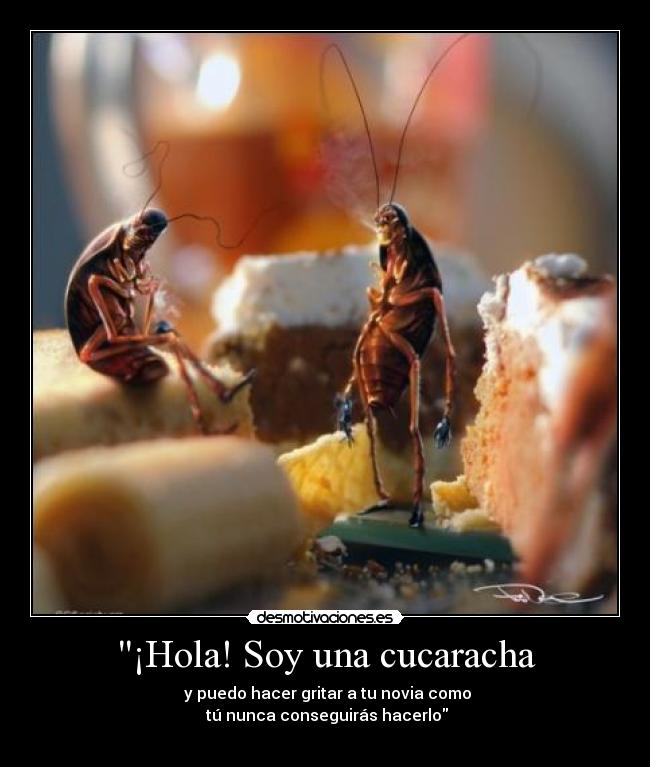 ¡Hola! Soy una cucaracha -