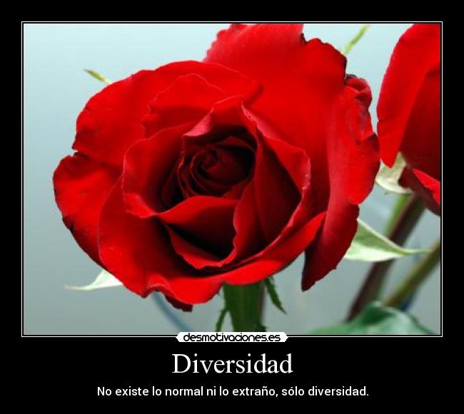 Diversidad -