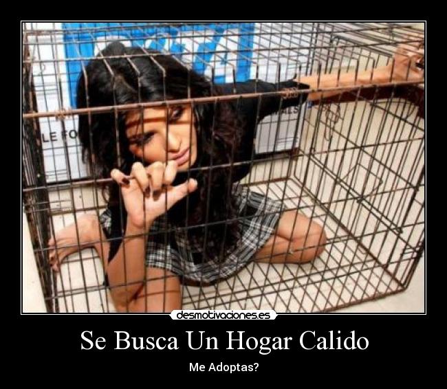 Se Busca Un Hogar Calido - 