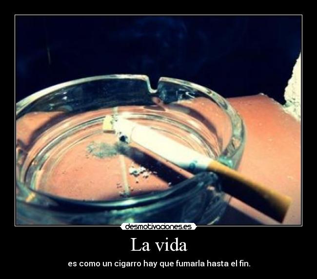 La vida - es como un cigarro hay que fumarla hasta el fin.
