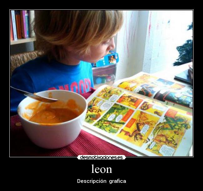 leon - Descripción  grafica