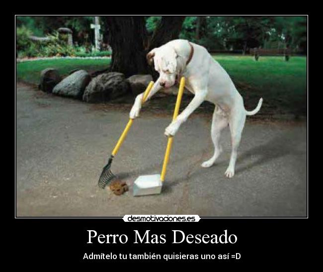 Perro Mas Deseado -