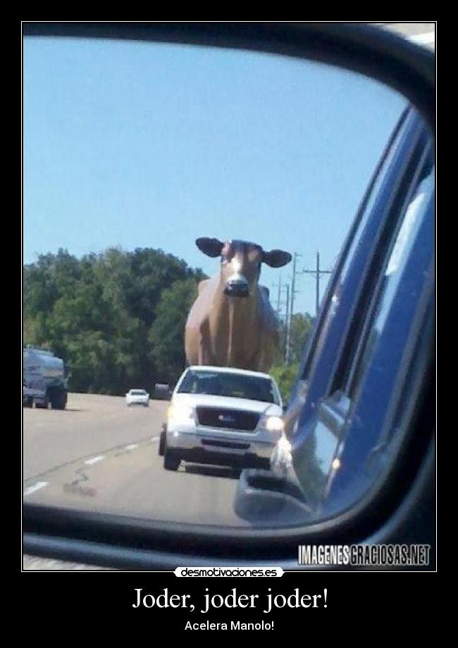 Joder, joder joder! - Acelera Manolo!