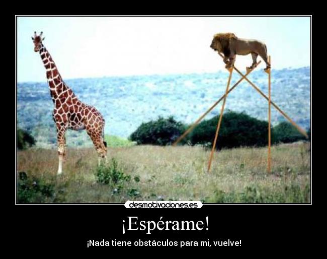 ¡Espérame! - ¡Nada tiene obstáculos para mi, vuelve!