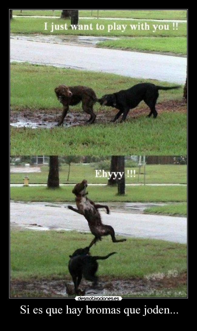 Si es que hay bromas que joden... - 