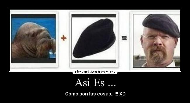 Asi Es ... -