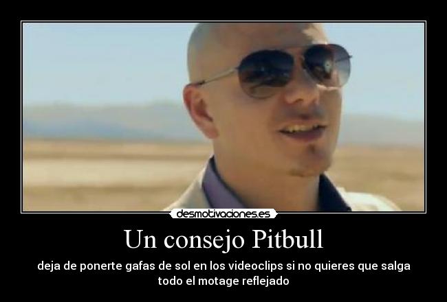 Un consejo Pitbull - 