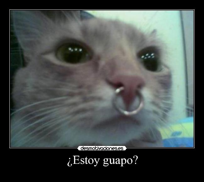 ¿Estoy guapo? - 