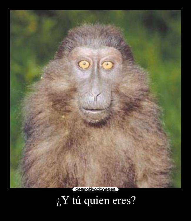 ¿Y tú quien eres? -