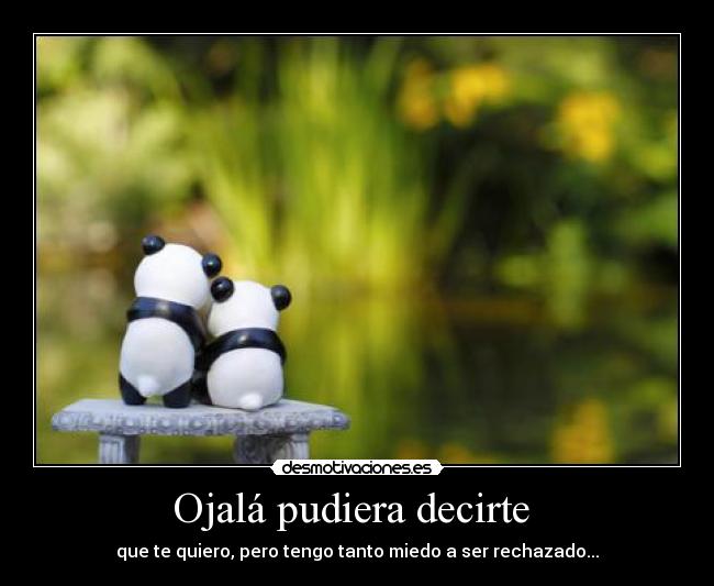 Ojalá pudiera decirte  - 