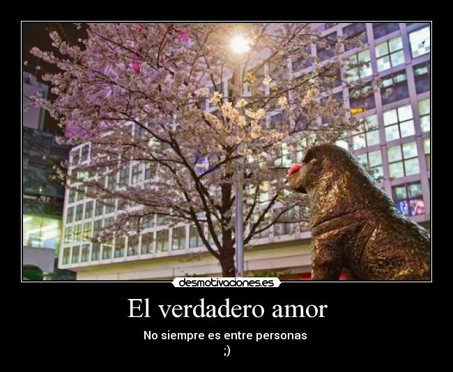 El verdadero amor - No siempre es entre personas 
;)