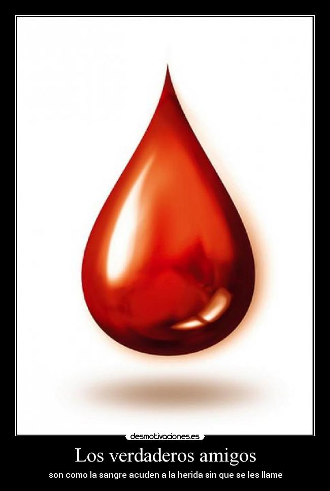 Los verdaderos amigos -