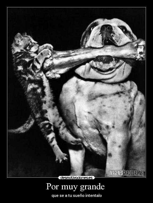 Por muy grande - que se a tu sueño intentalo