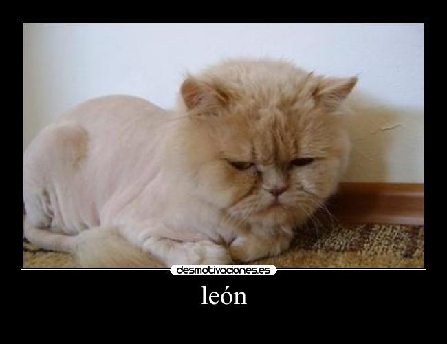 león - 