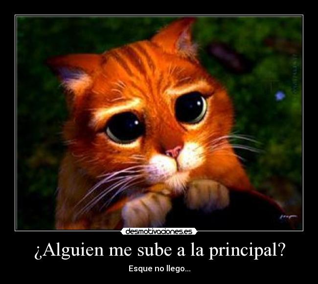 ¿Alguien me sube a la principal? - 