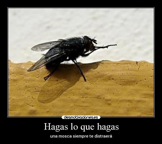 Hagas lo que hagas -
