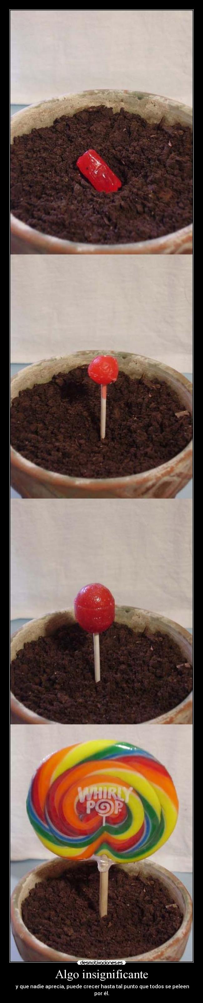 Algo insignificante -