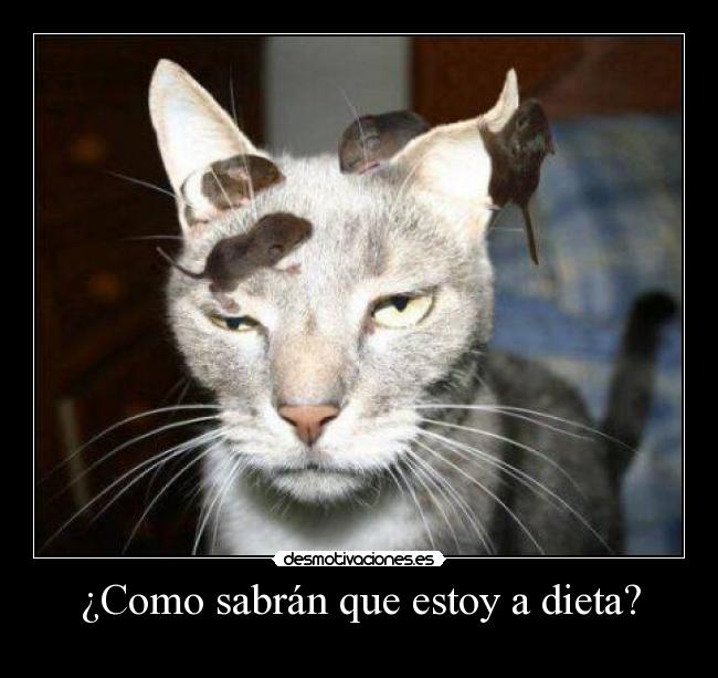 carteles fefeeeweweewewewew desmotivaciones