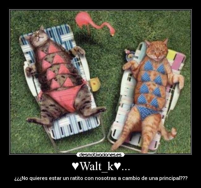 ♥Walt_k♥... -