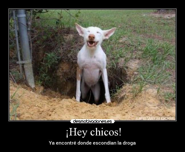¡Hey chicos! -