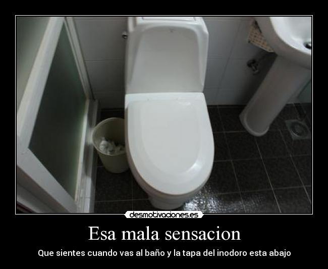 Esa mala sensacion - Que sientes cuando vas al baño y la tapa del inodoro esta abajo