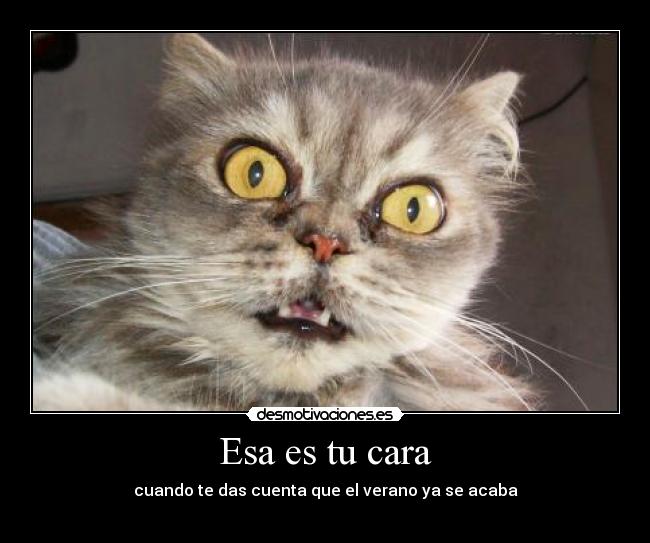 Esa es tu cara -