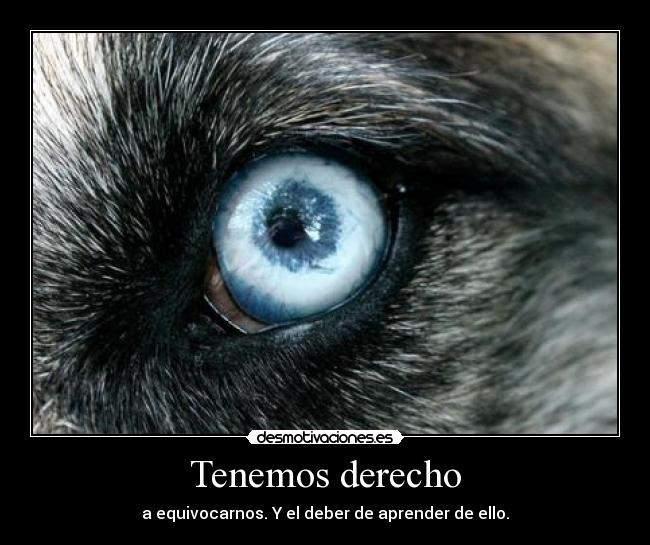 Tenemos derecho -