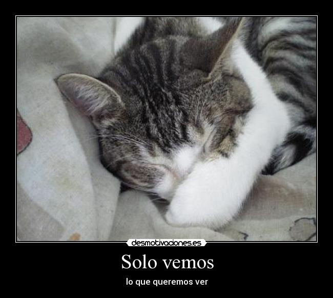 Solo vemos - lo que queremos ver