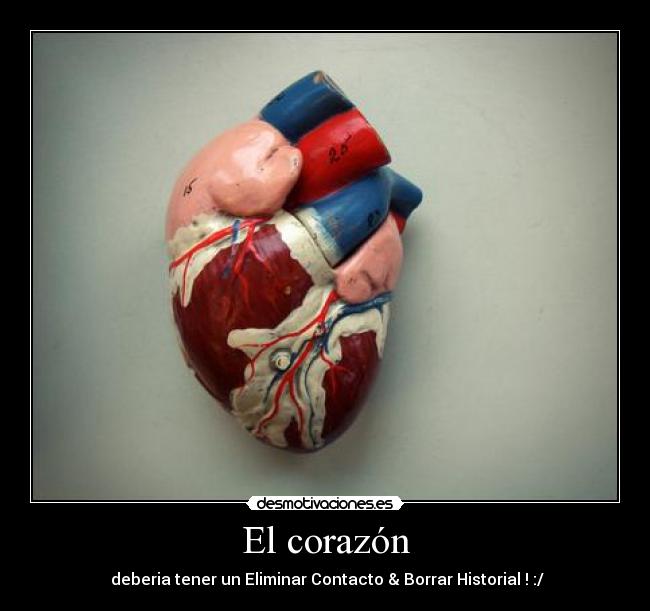 carteles corazon corazon msn sentimientos relaciones desmotivaciones